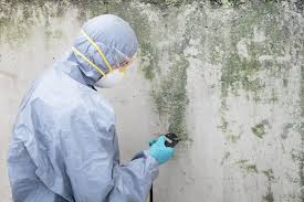 Best Basement Mold Removal in Oxford, AL